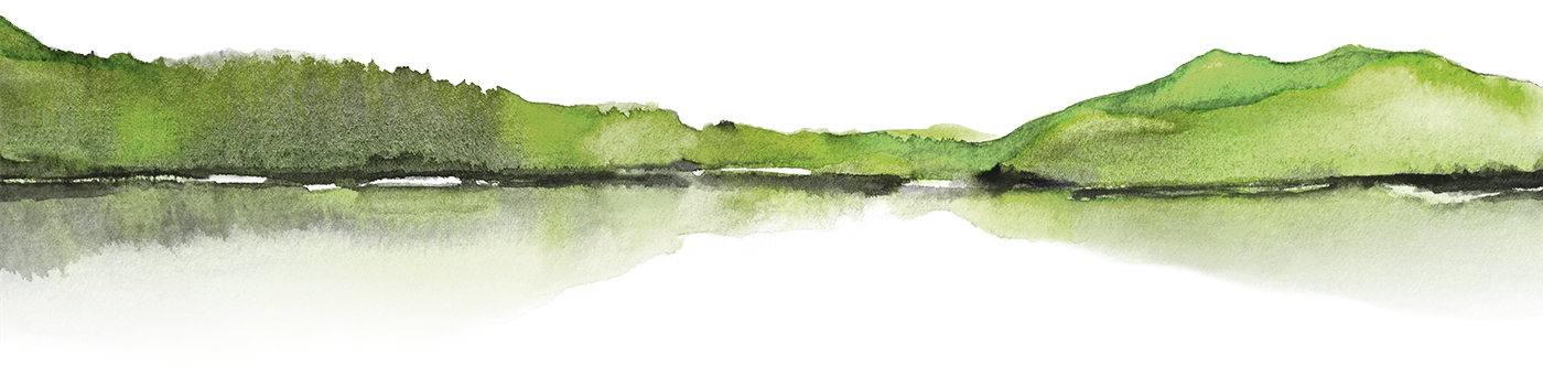 Sauvignon Blanc 2023 label art