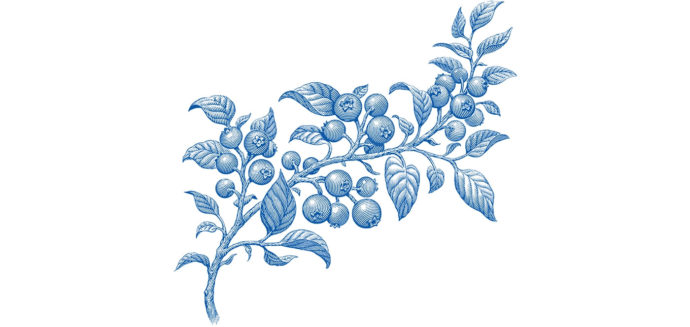 Blueberry Breeze label art