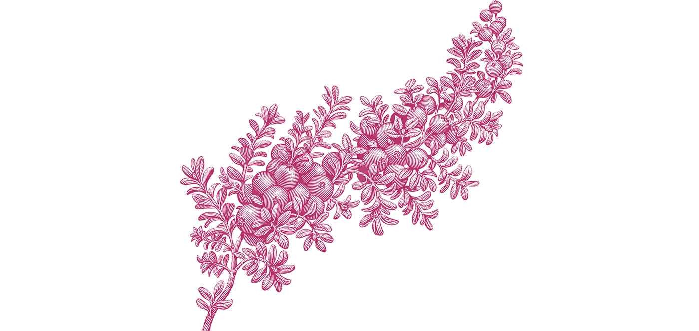 Cranberry Crisp label art