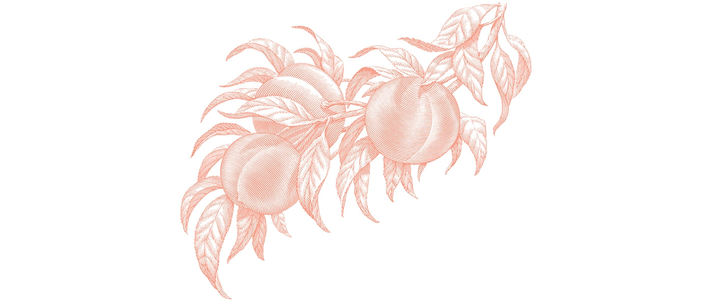 Peach Paradise label art