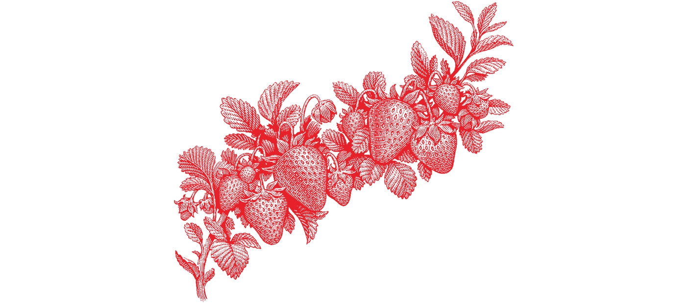 Strawberry Serenade label art