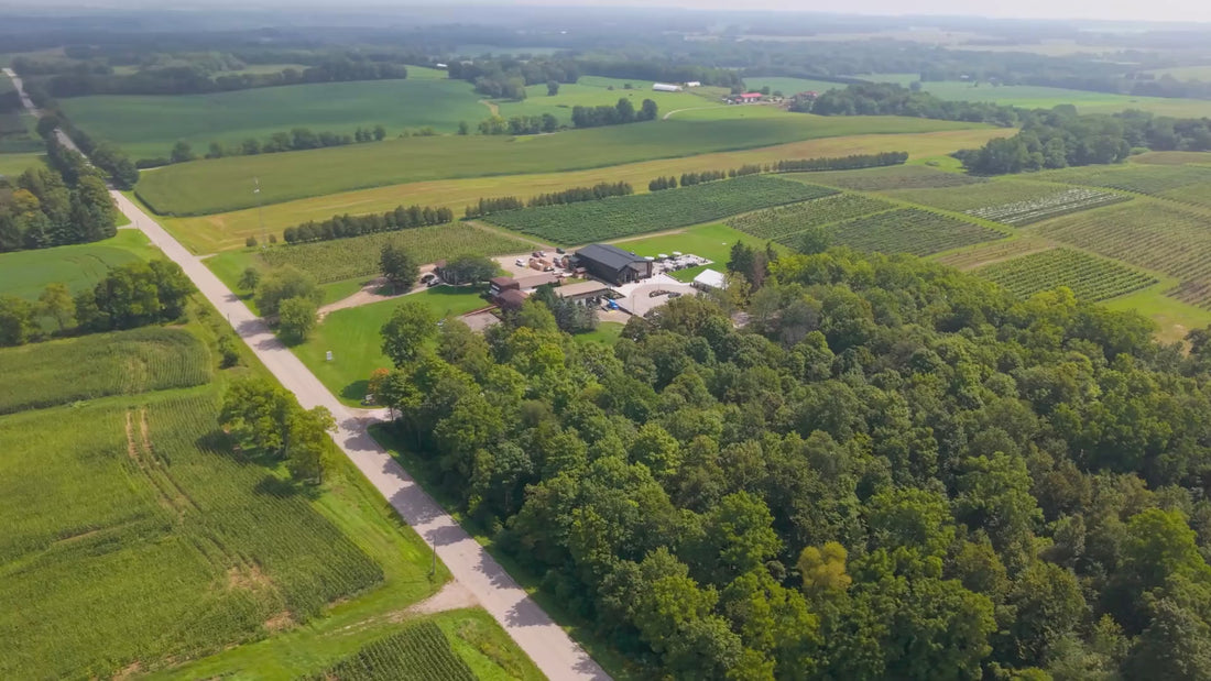 A glimpse into Skye Chase Estate Winery in Southwestern Ontario, featuring scenic vineyard views, the welcoming tasting room, guests enjoying wine tastings and food pairings, and outdoor wine experiences overlooking the vines.