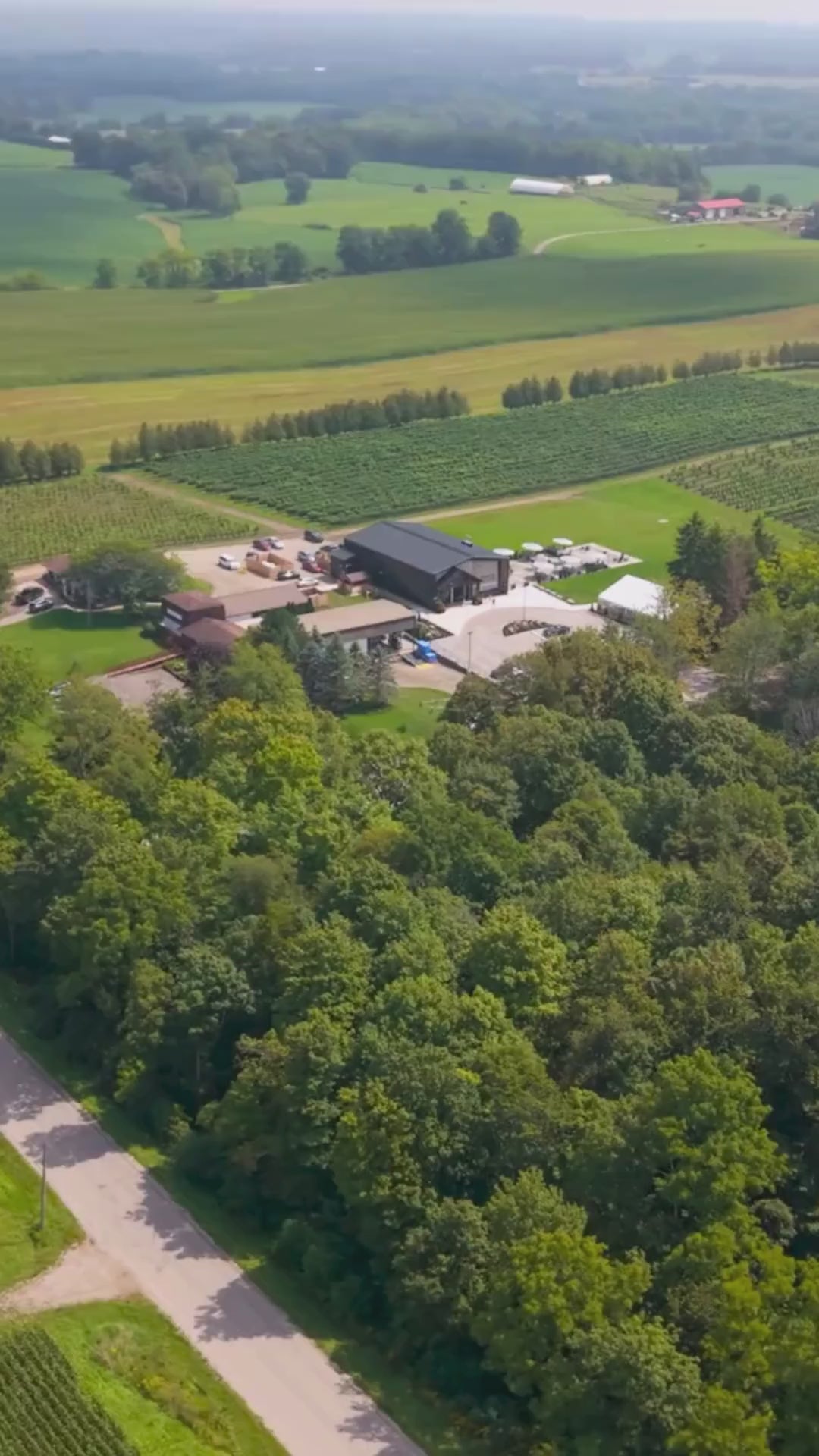 A glimpse into Skye Chase Estate Winery in Southwestern Ontario, featuring scenic vineyard views, the welcoming tasting room, guests enjoying wine tastings and food pairings, and outdoor wine experiences overlooking the vines.